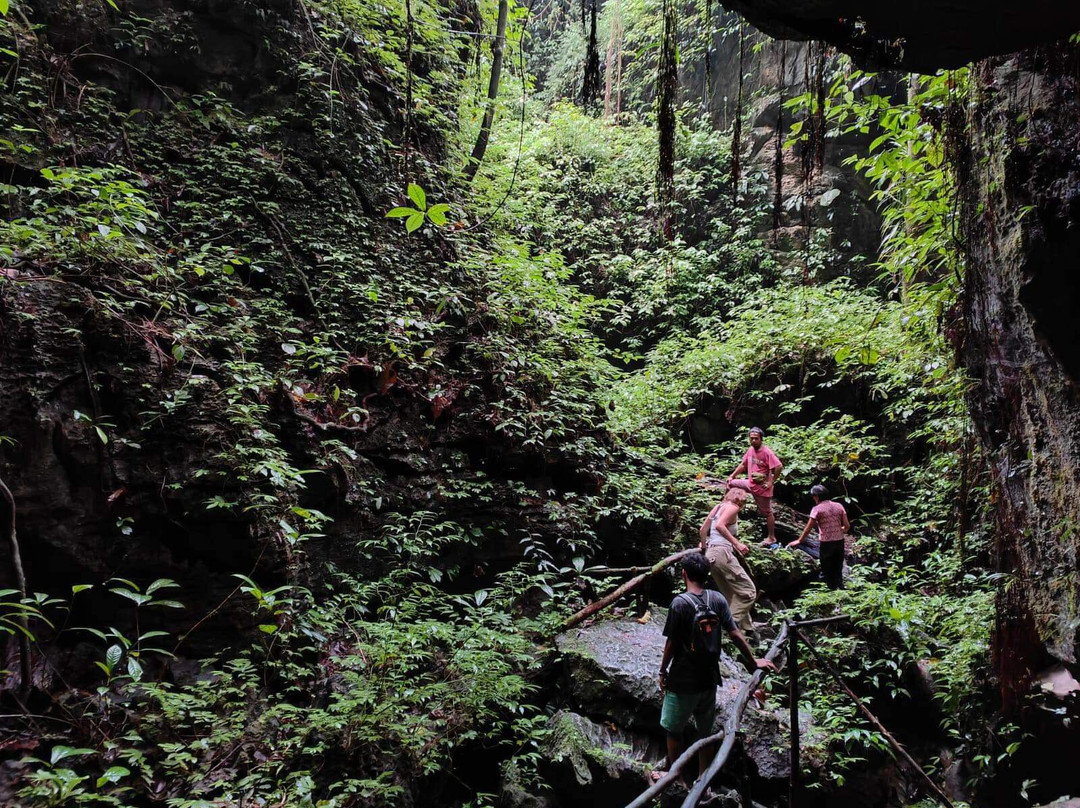 Orangutan Conservation Eco Tours Bukit Lawang-武吉拉旺必去景点