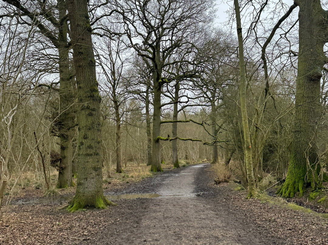 Salcey Forest-Hartwell必去景点