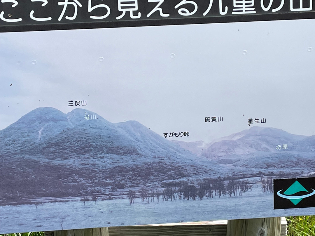 Tadewara Wetlands景点图片