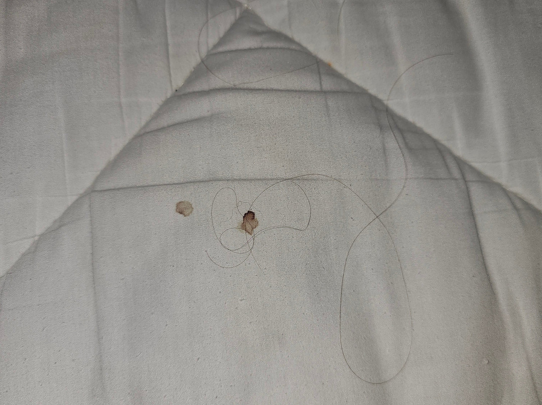 Days Inn by Wyndham Cornelia主图