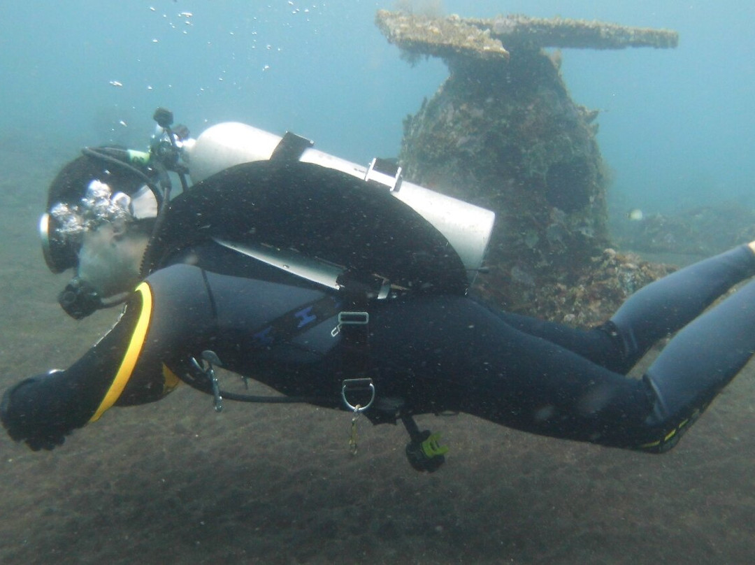 巴厘岛阿尔巴潜水度假村别墅主图