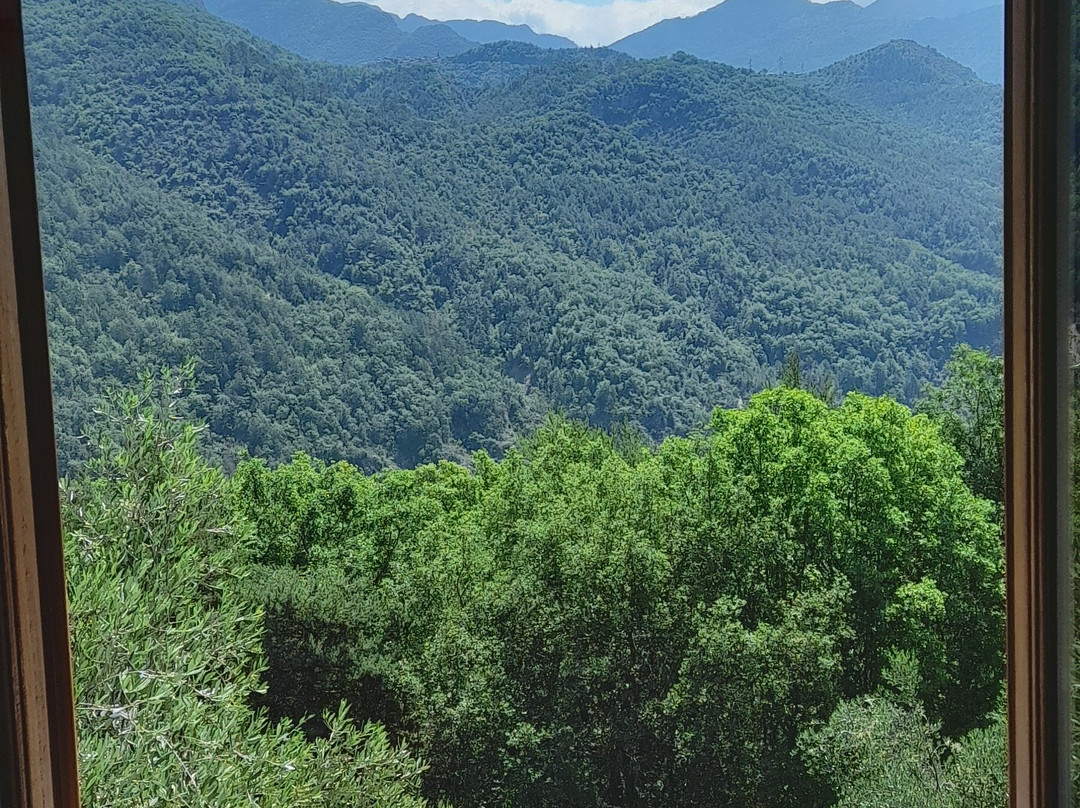 Vedicare Ayurvedic Spa景点图片