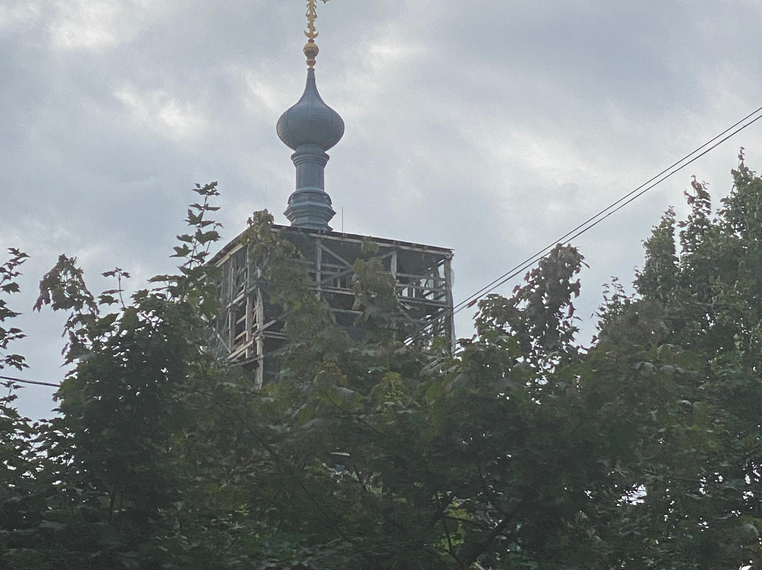 Cathedral of Vladimir Icon of Our Lady景点图片