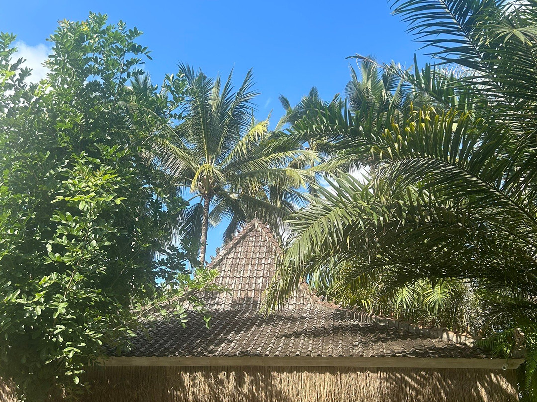 Gosek Adventure-坦帕克西林必去景点