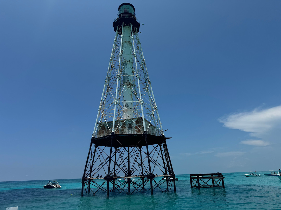 Islamorada Turtle Tours-伊斯拉摩拉达必去景点