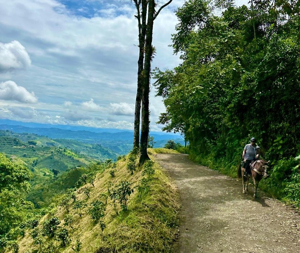 Rancho Saman-佩雷拉必去景点