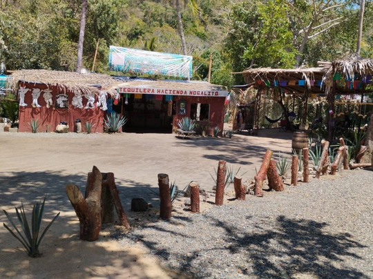 tequilera hacienda el nogalito