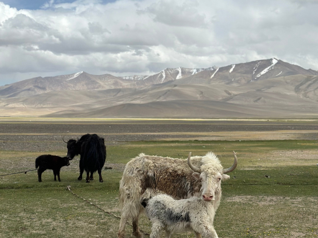 Pamir Guides景点图片