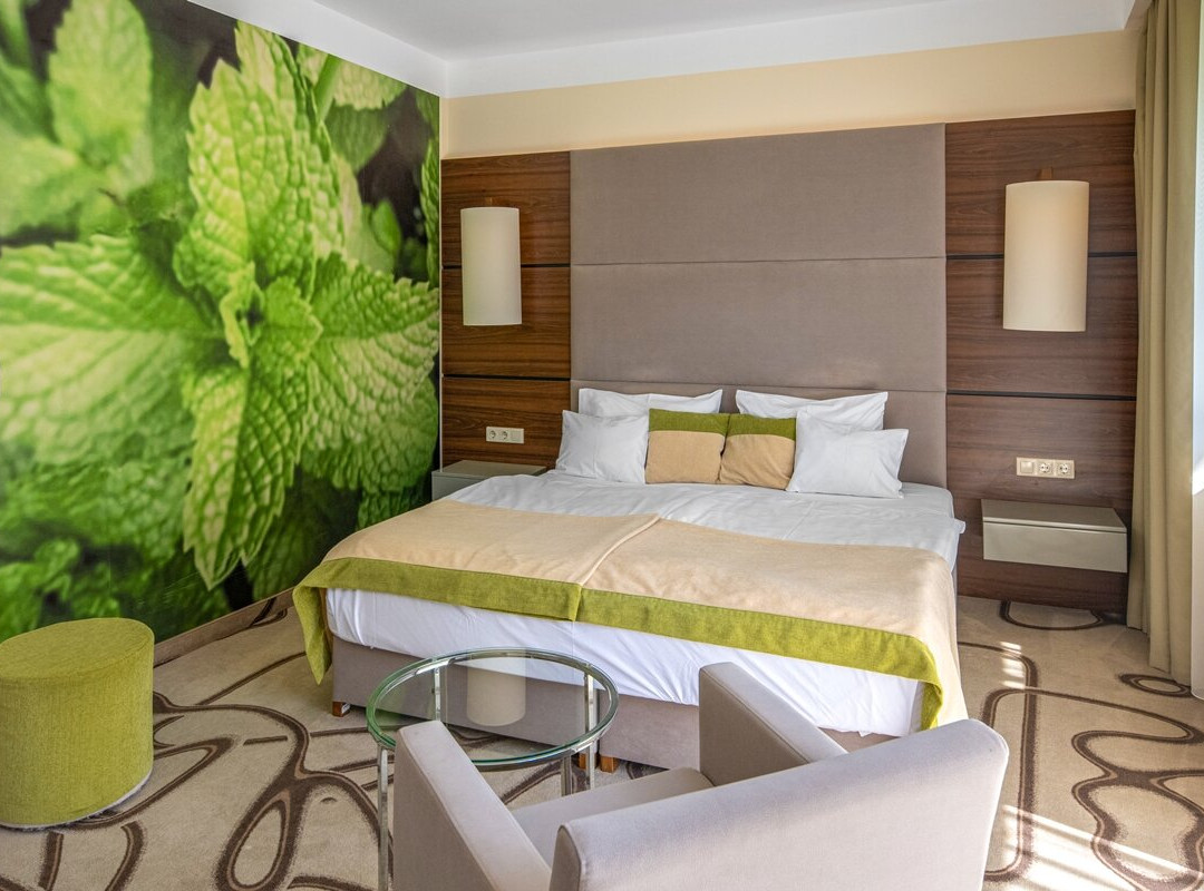Ambient Hotel & AromaSpa主图
