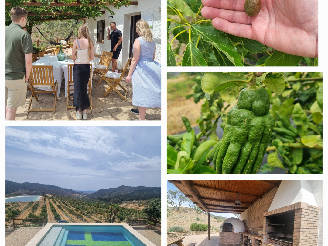 Finca Solmark景点图片