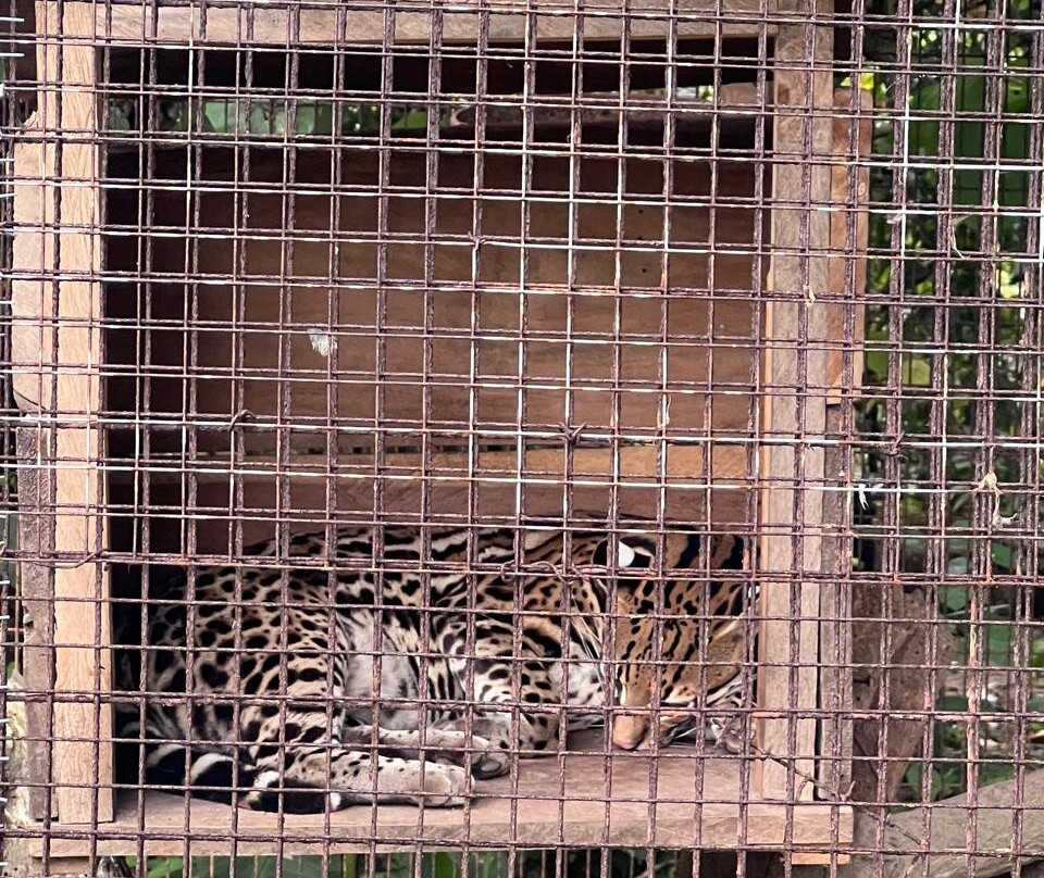El Nispero Zoo and Botanical Garden景点图片
