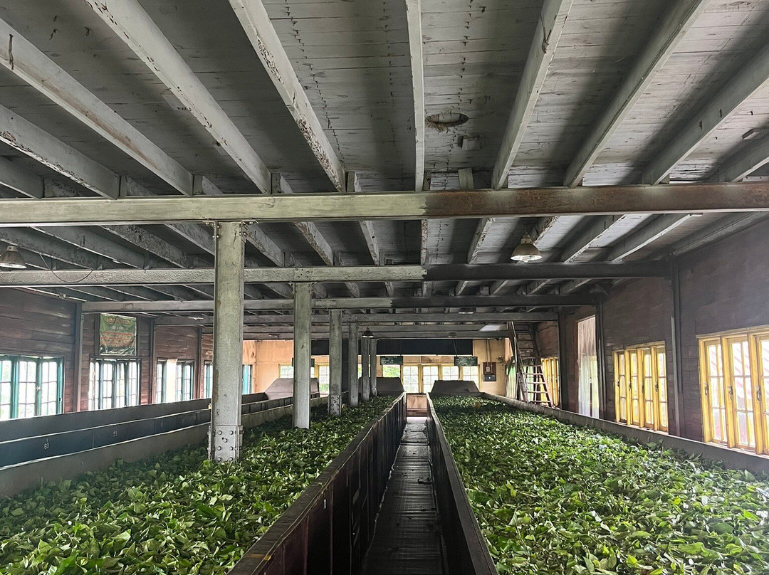 Storefield Tea Factory景点图片