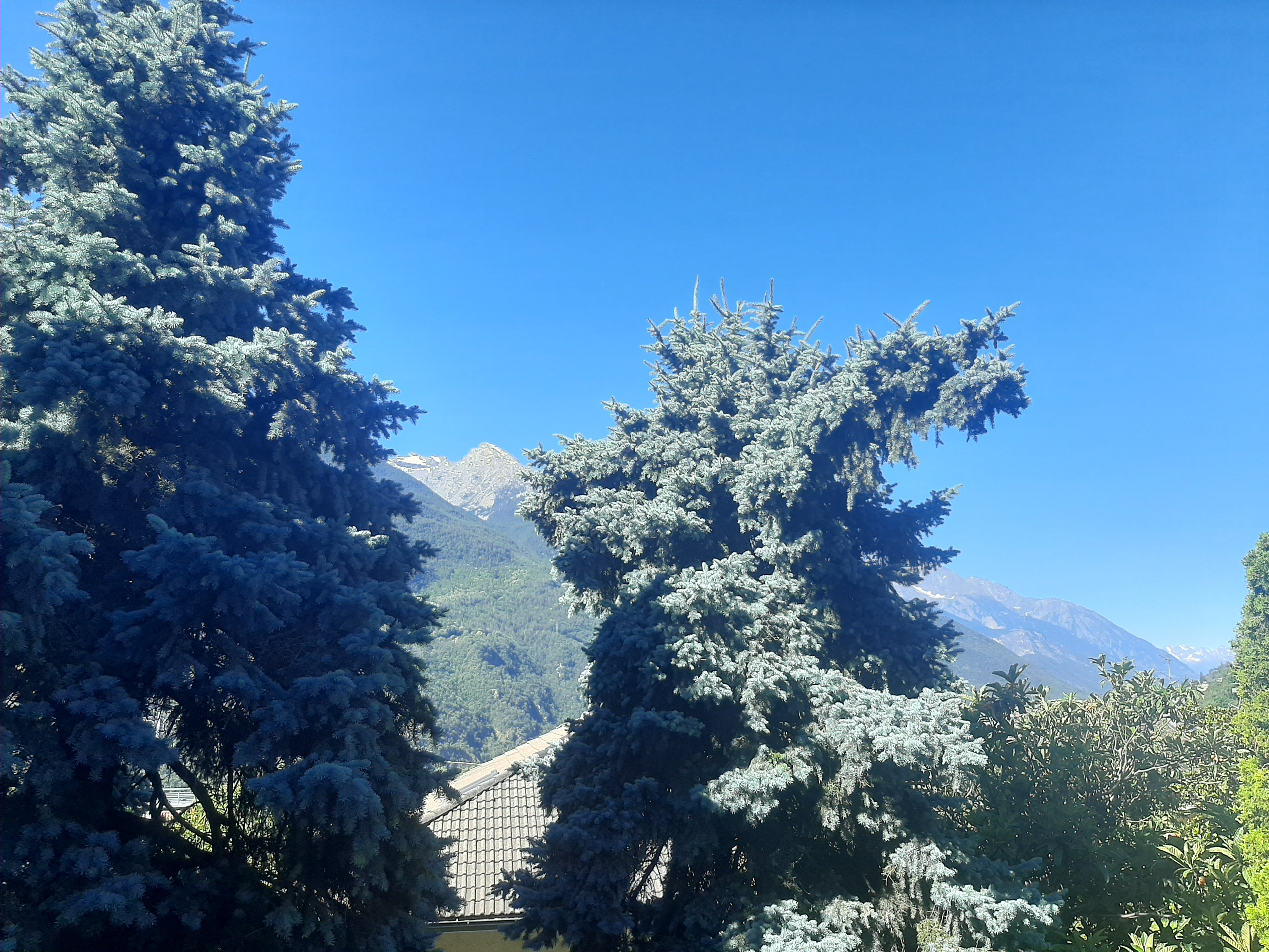 Bed and Breakfast La Magnolia di Elvira Biselli-酒店景观