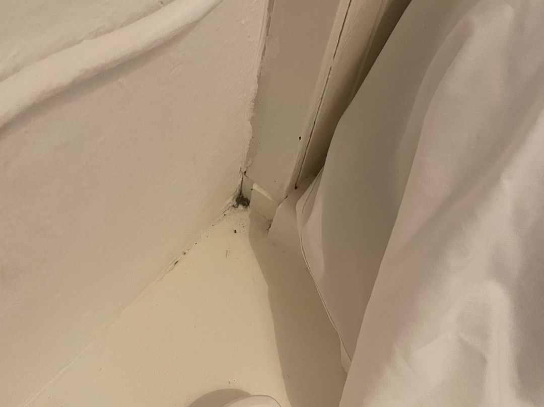 亚特兰提斯之家主图