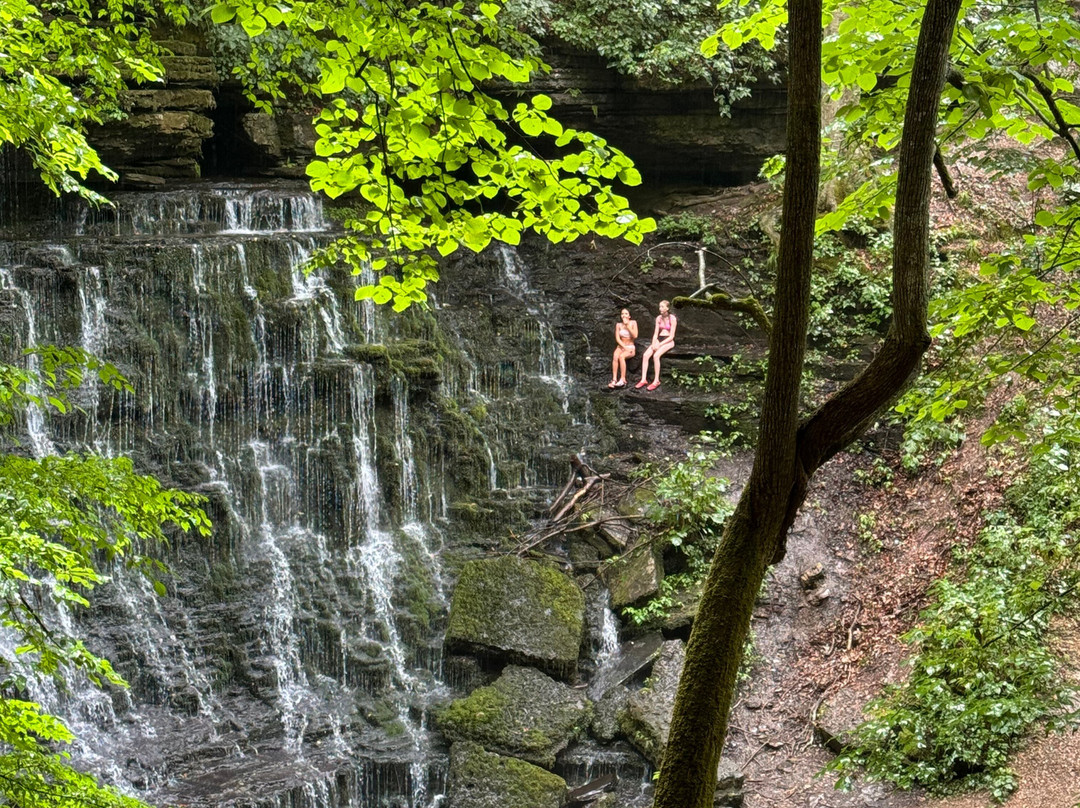 Machine Falls Loop Trail景点图片