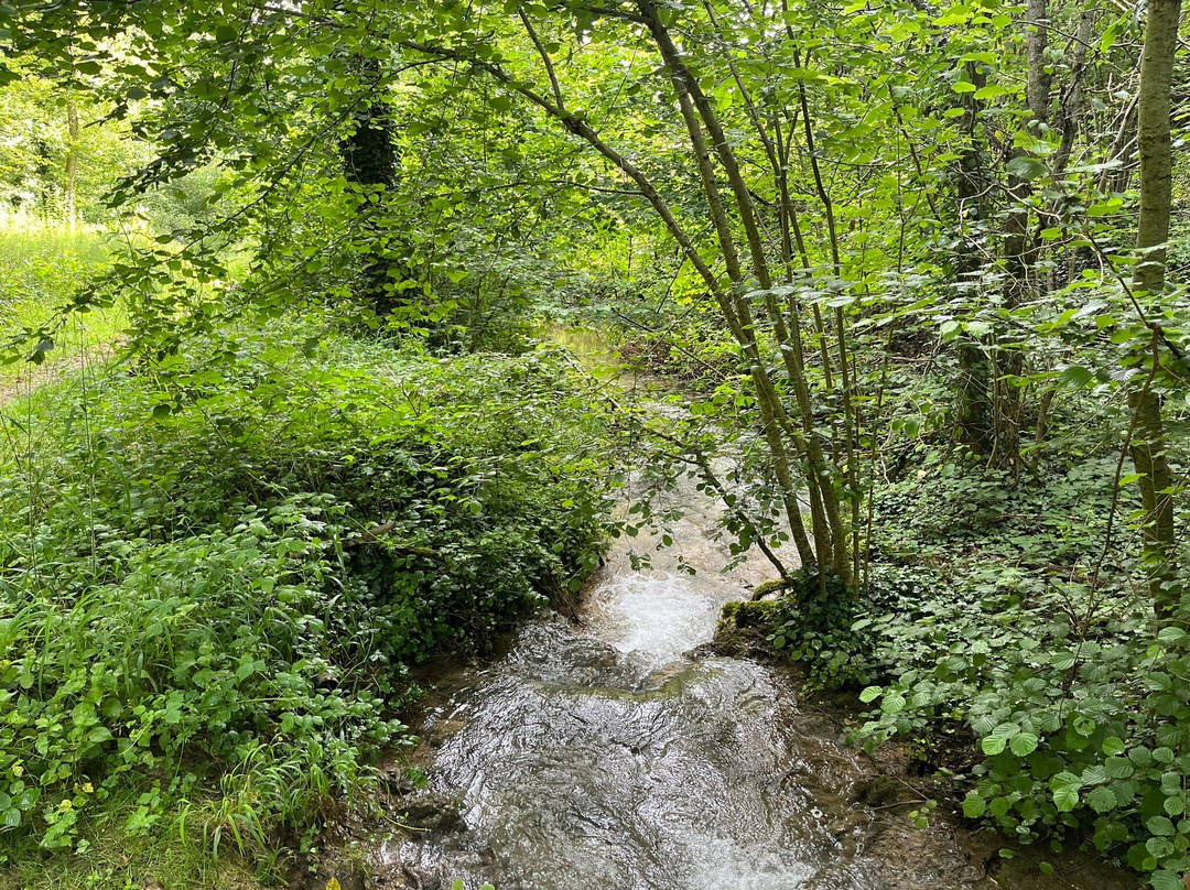 La Tuffière Source Pétrifiante-Rolampont必去景点