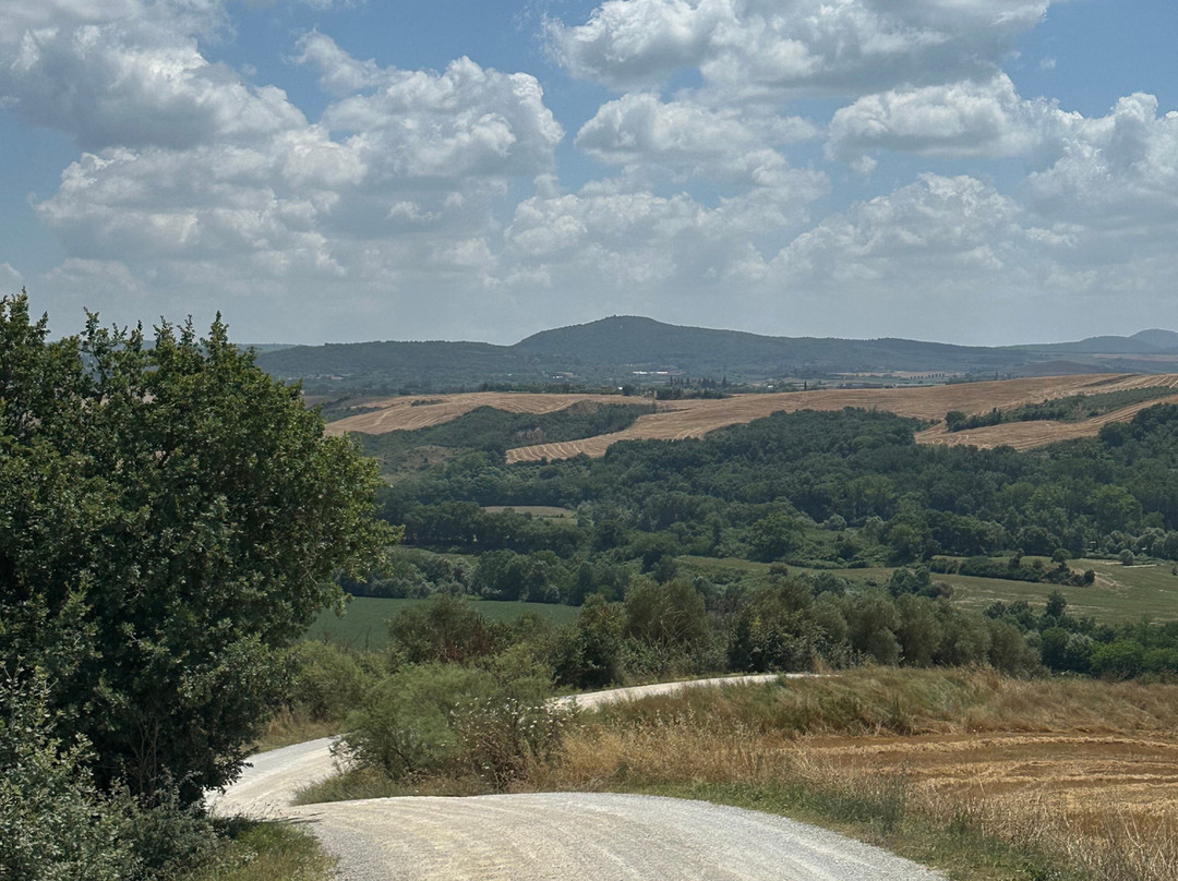 Siena Bike Shop-锡耶纳必去景点