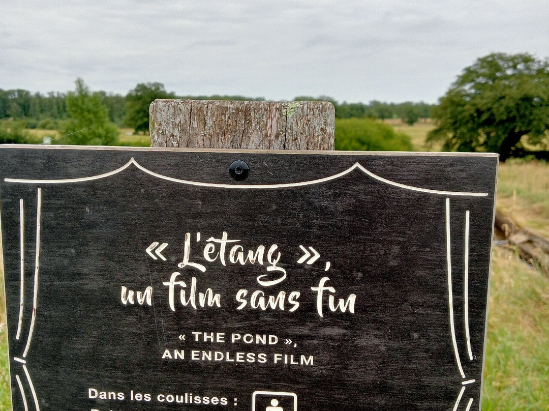 Réserve Naturelle Nationale de l'Etang des Landes景点图片