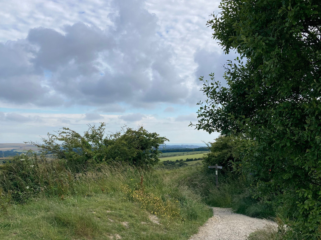 Ditchling Beacon景点图片