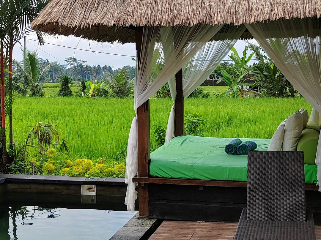 阿拉姆普斯别墅主图