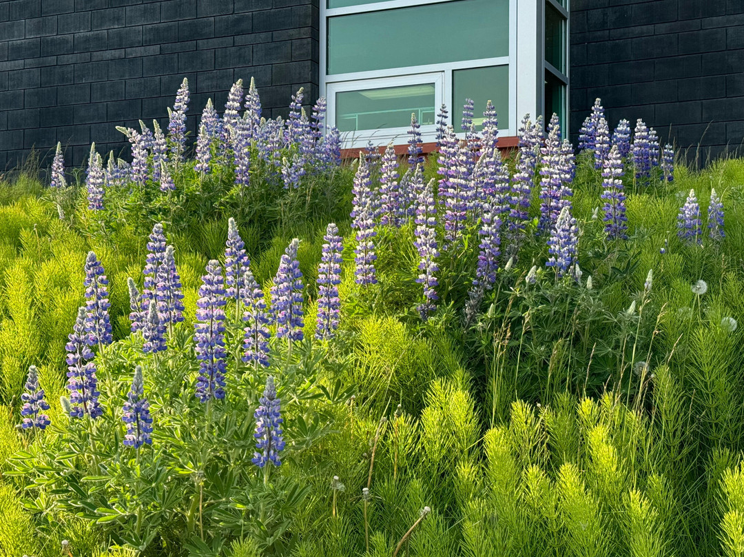 Bishop's Beach Park-荷马必去景点