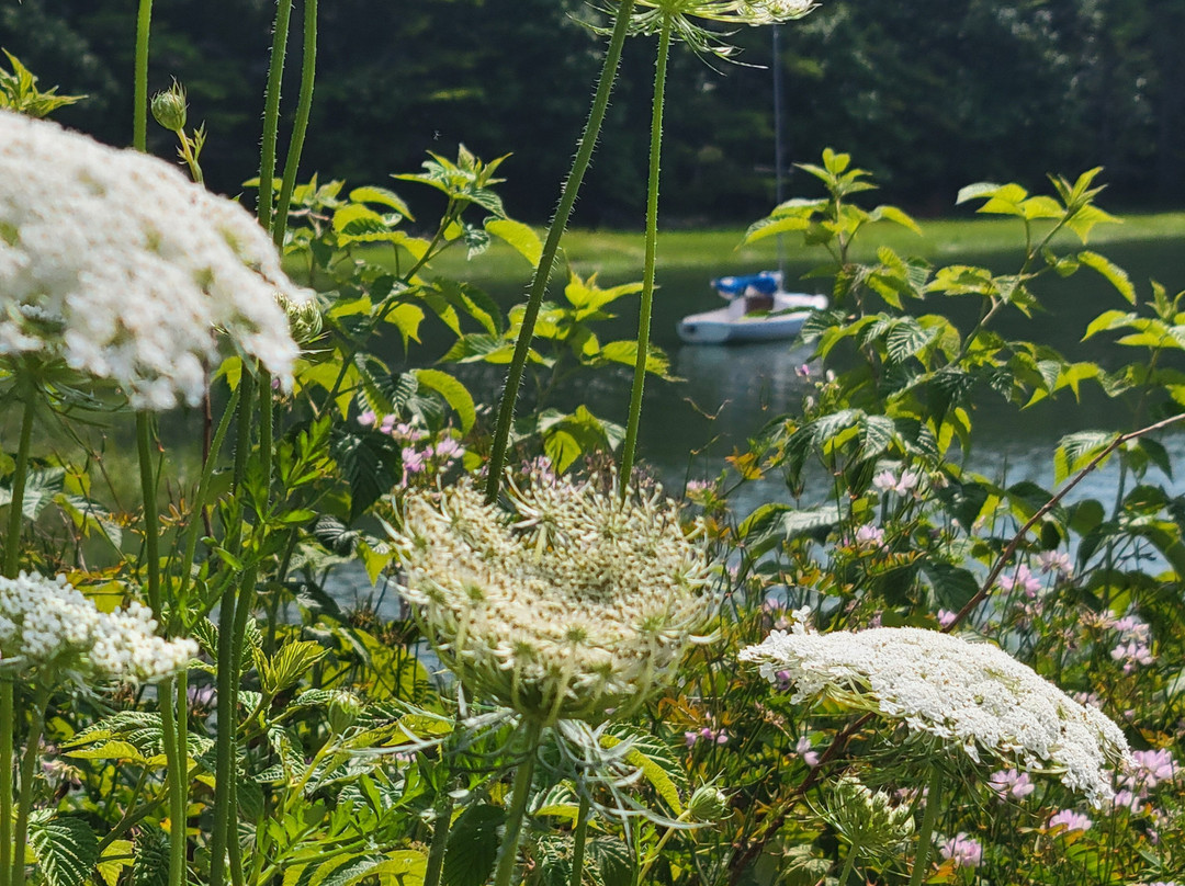 Porters Landing Guesthouse主图