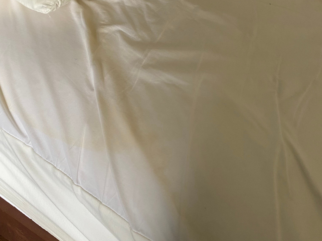 贝斯特韦斯特亚历山德里亚酒店主图