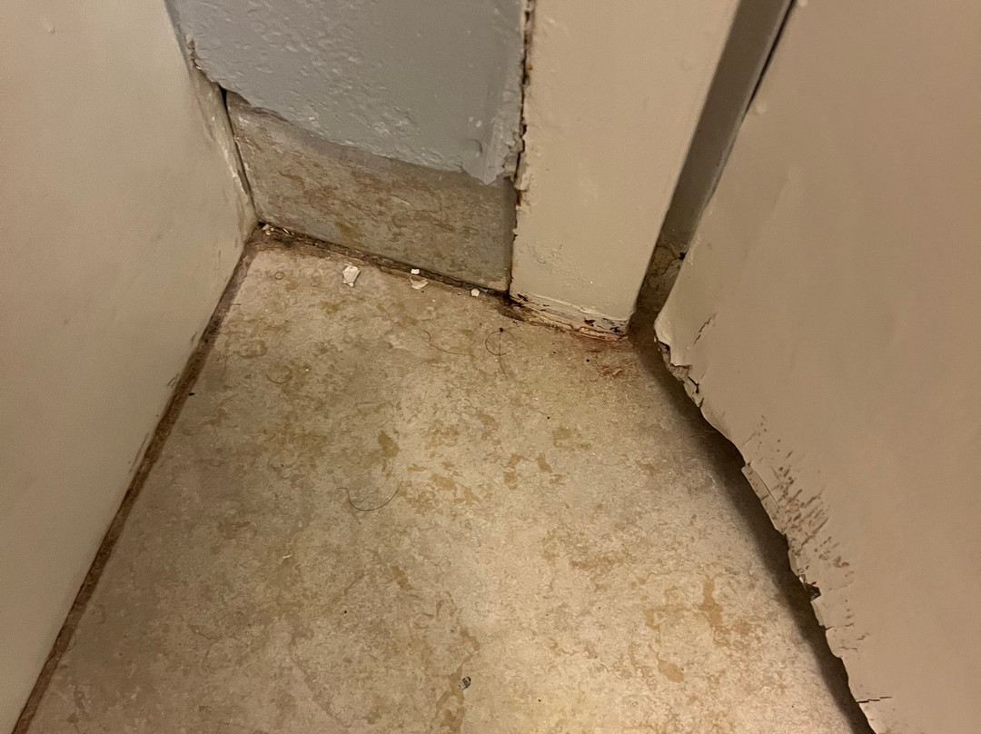 贝斯特韦斯特哈特福德酒店主图