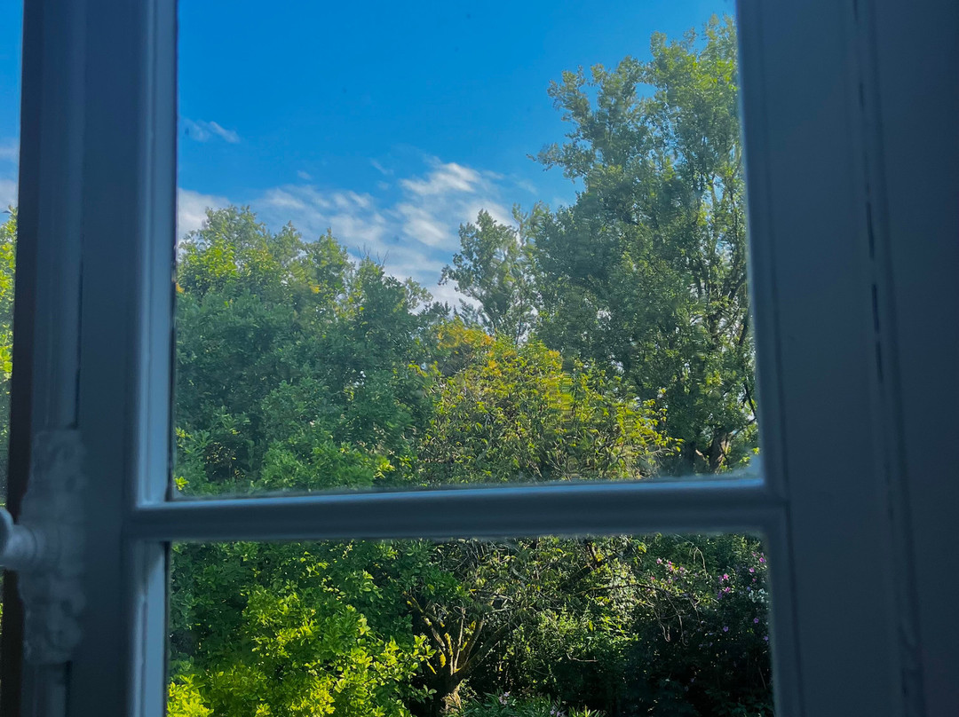 Domaine La Gazaille De Camille主图