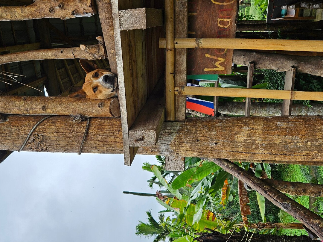 Tetebatu Sama Sama Bungalows主图