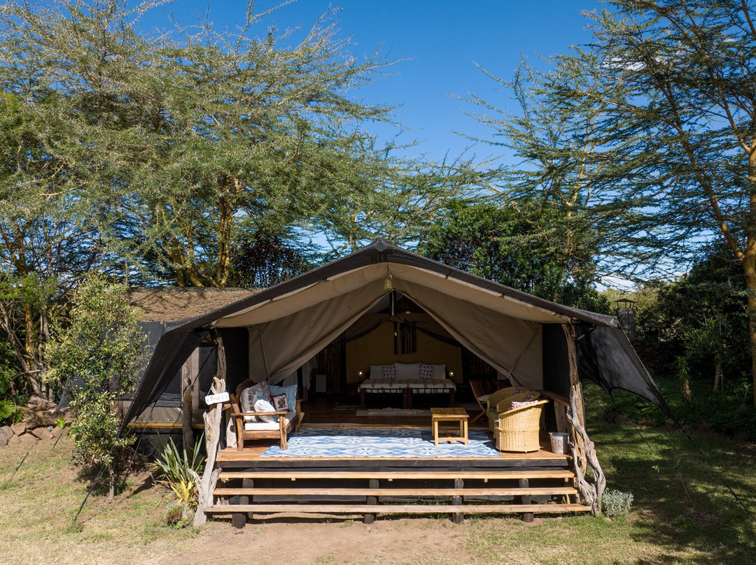 Ekorian's Mugie Camp主图