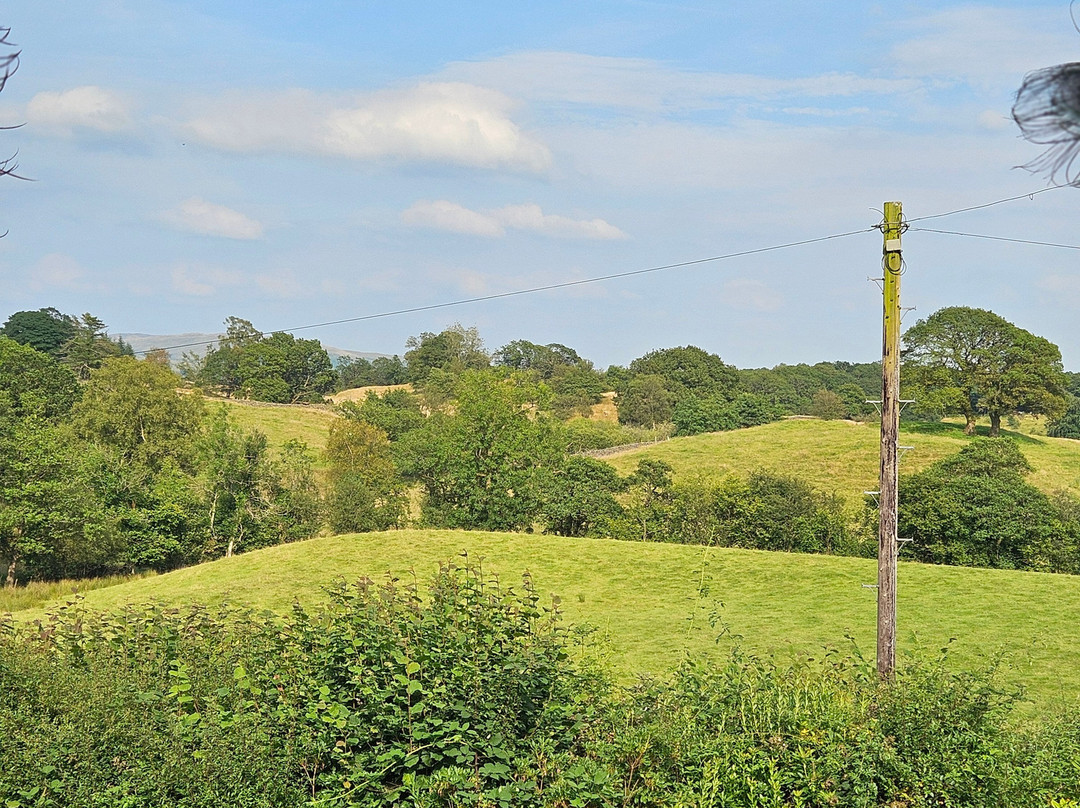 High Grassings Country House B&B主图