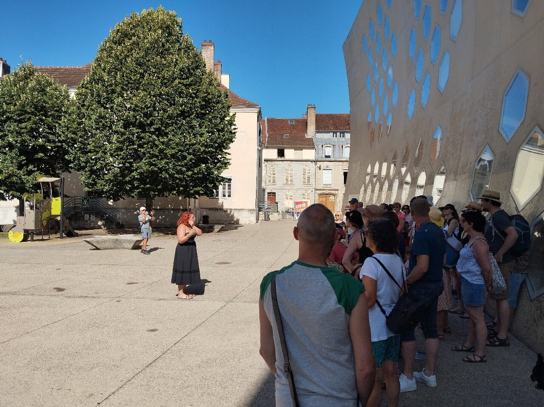 Visites Guidees de Lons-le-Saunier景点图片