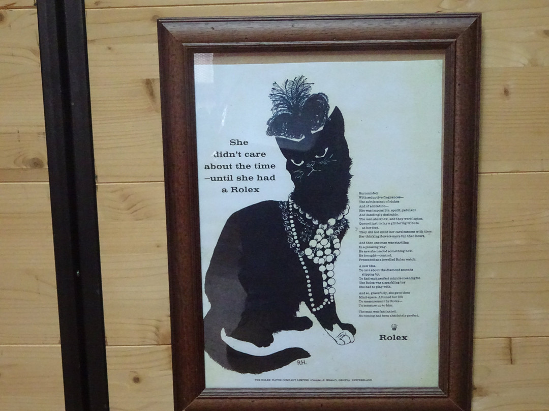 Cats Museum-科托尔必去景点