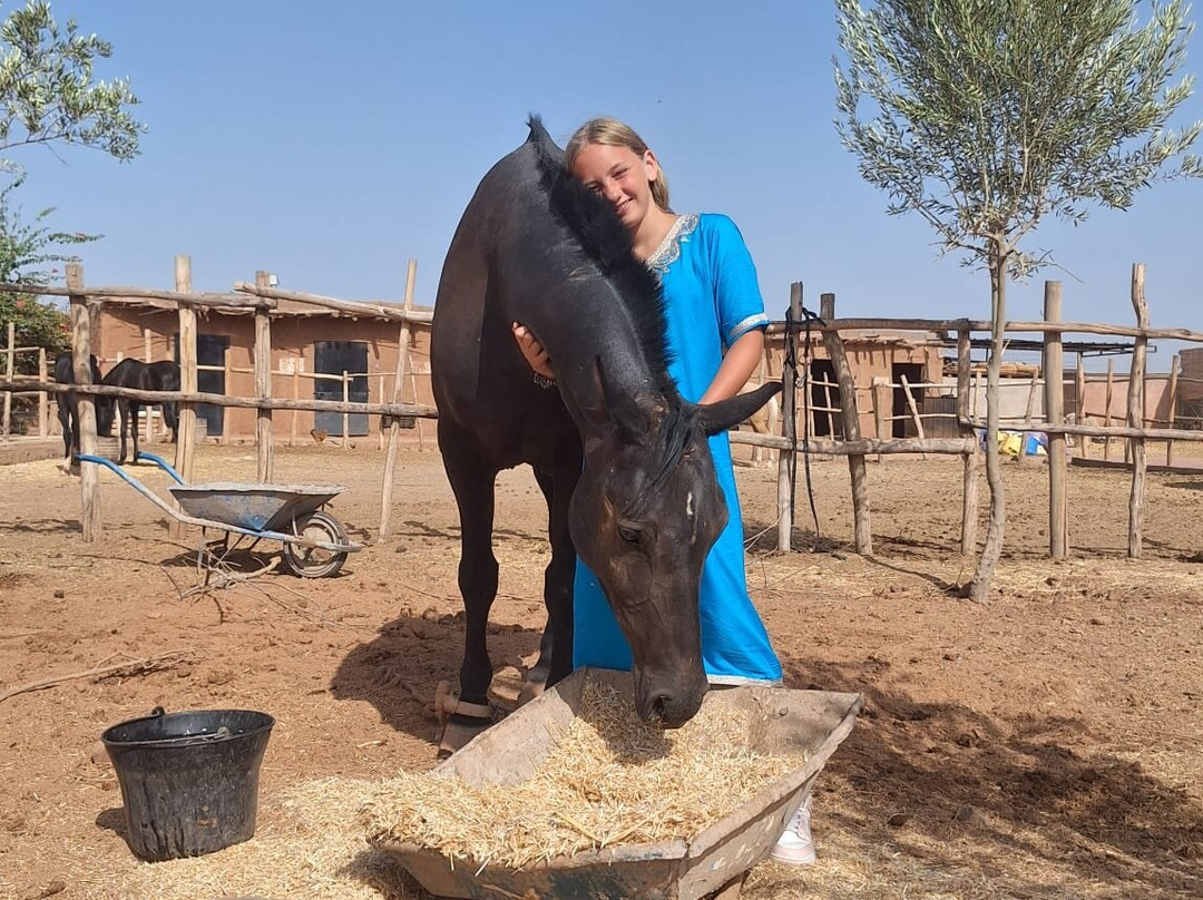 Had Abdallah Rhiat酒店住宿-Aghmat Lodge Guest House