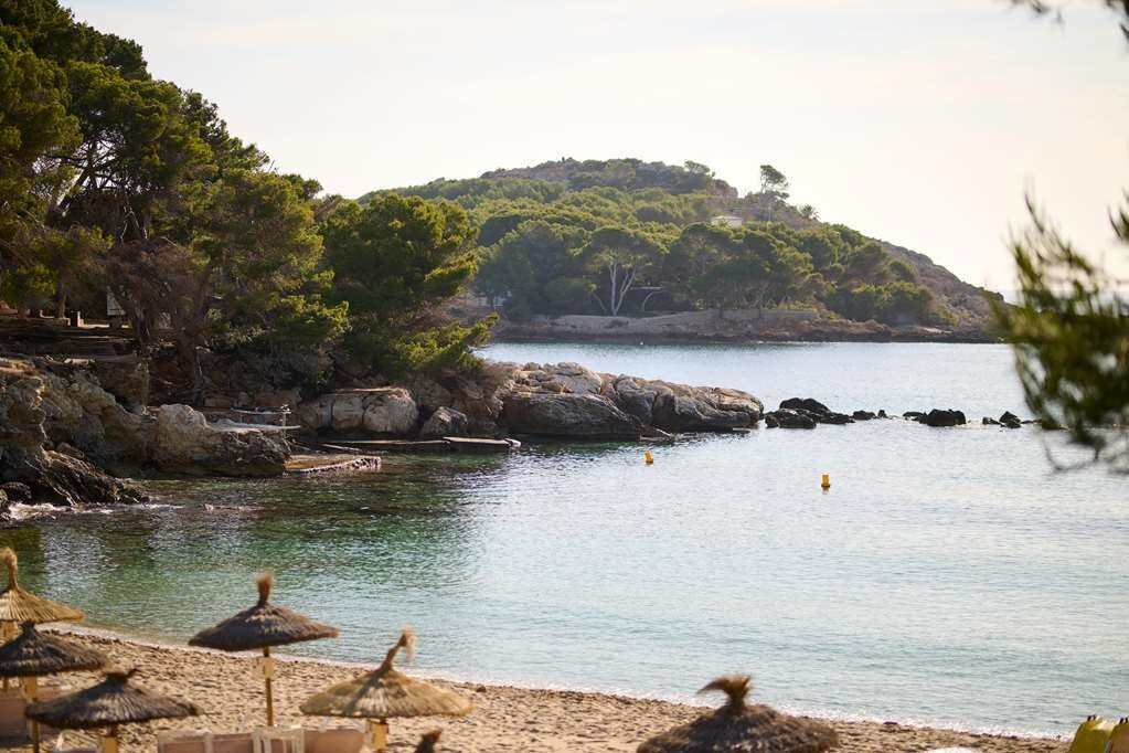 AluaSoul Carolina主图