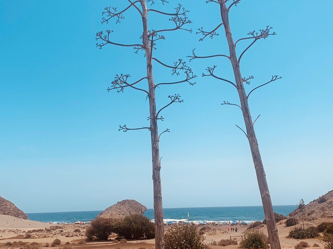Monsul Beach景点图片
