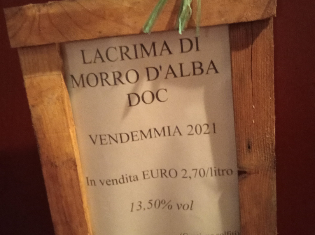 Antica Cantina Sant'Amico-Morro d'Alba必去景点