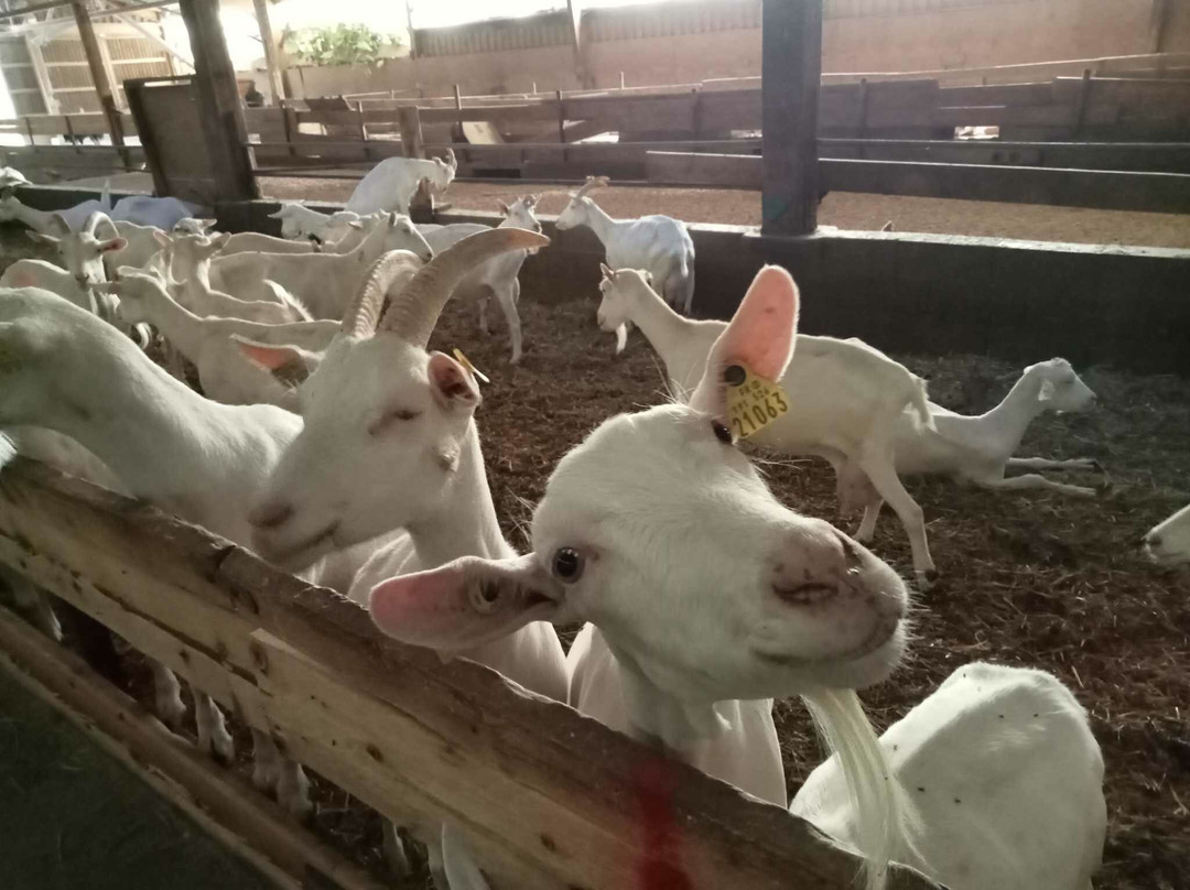 La Ferme des Fillaos-Rouillac必去景点