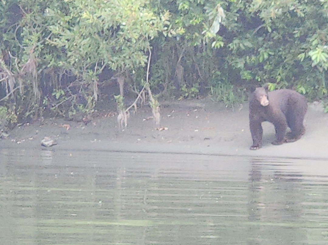 Klamath River Jet Boat Tours-克拉马斯必去景点