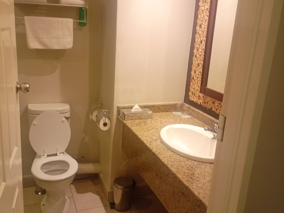Protea Hotel Ndola主图