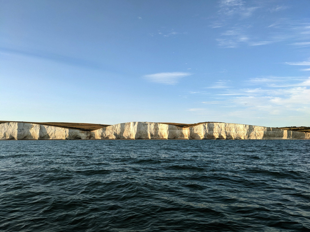 Sussex Dolphin Project-布莱顿必去景点
