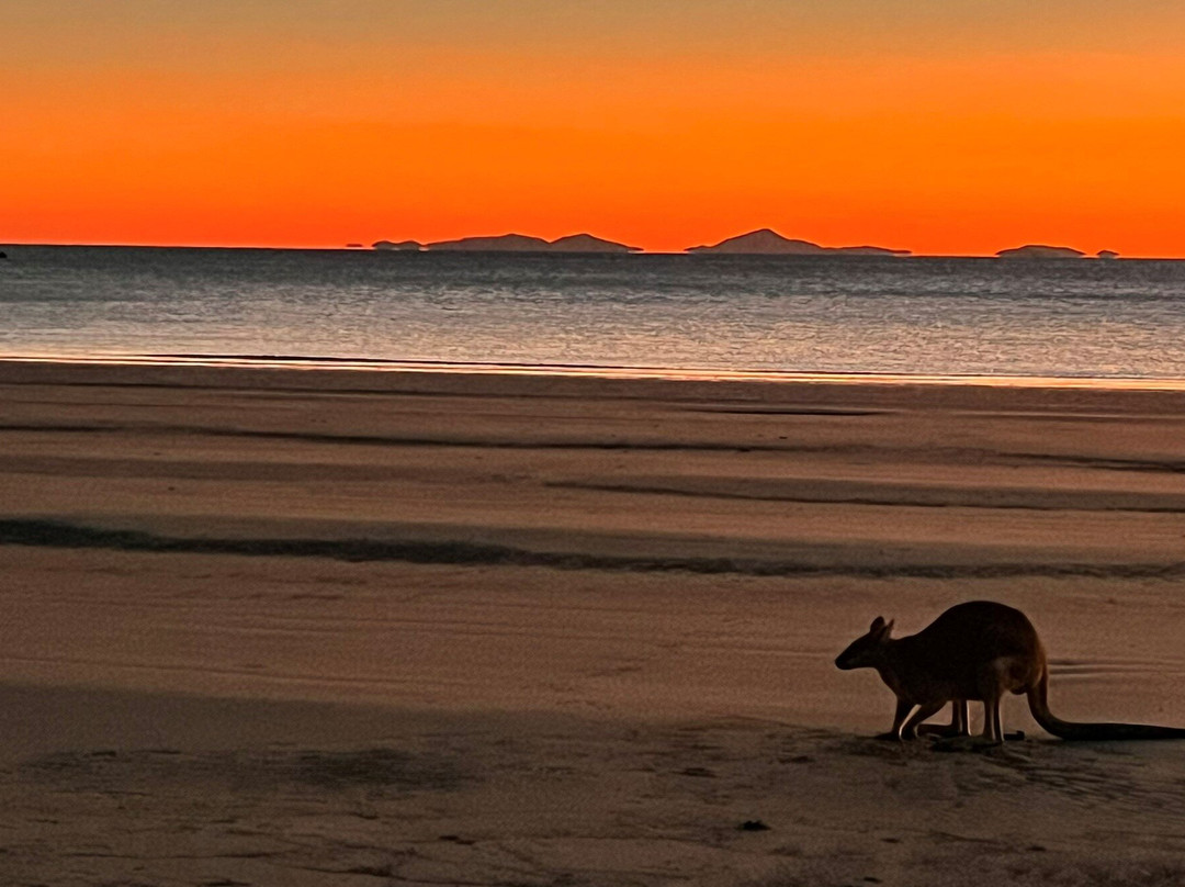 Cape Hillsborough National Park景点图片