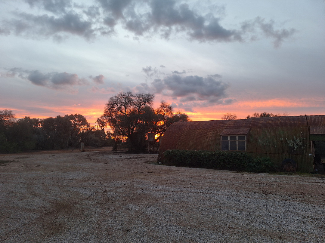 Corynnia Station主图