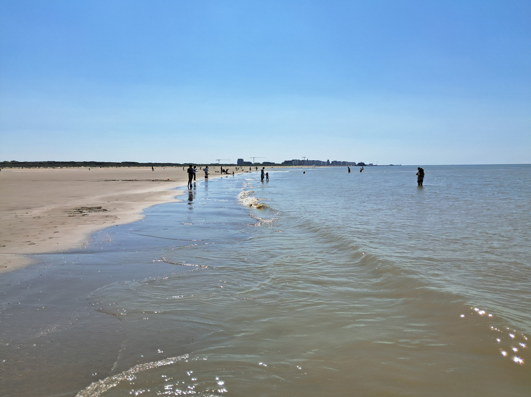 Strand Zeebrugge-泽布鲁日必去景点