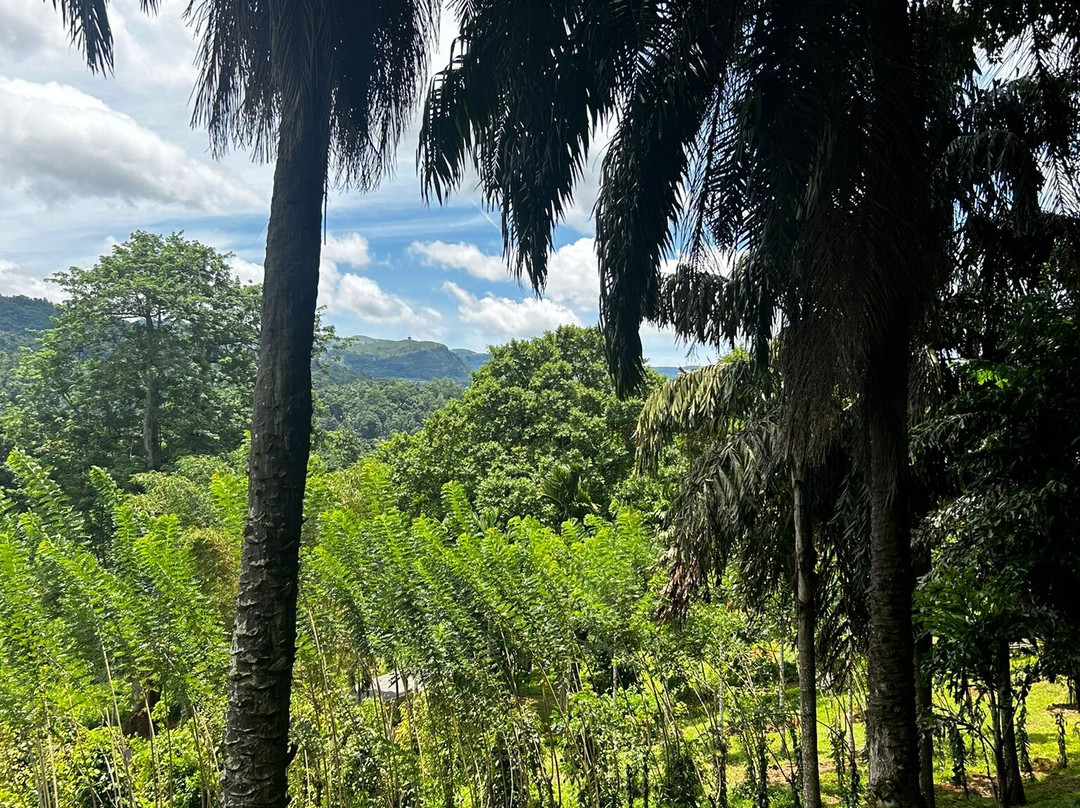 National Spice Garden of Sri Lanka-Matale必去景点
