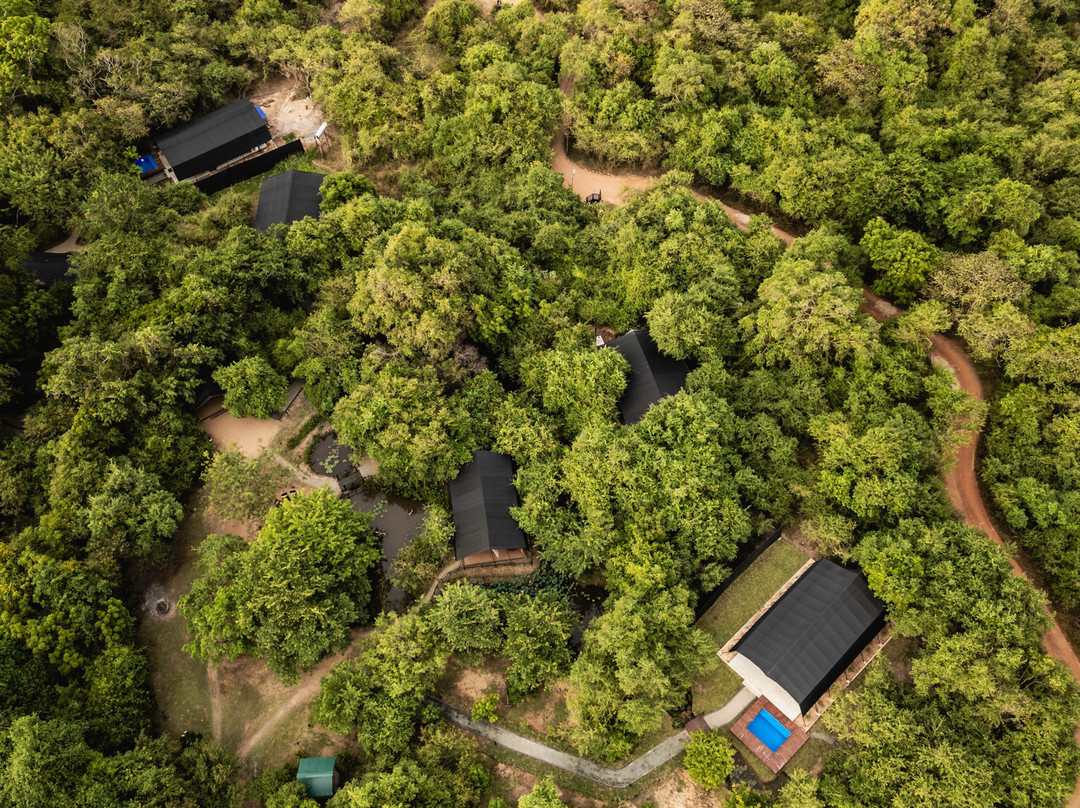 韦帕图花豹小径旅馆主图