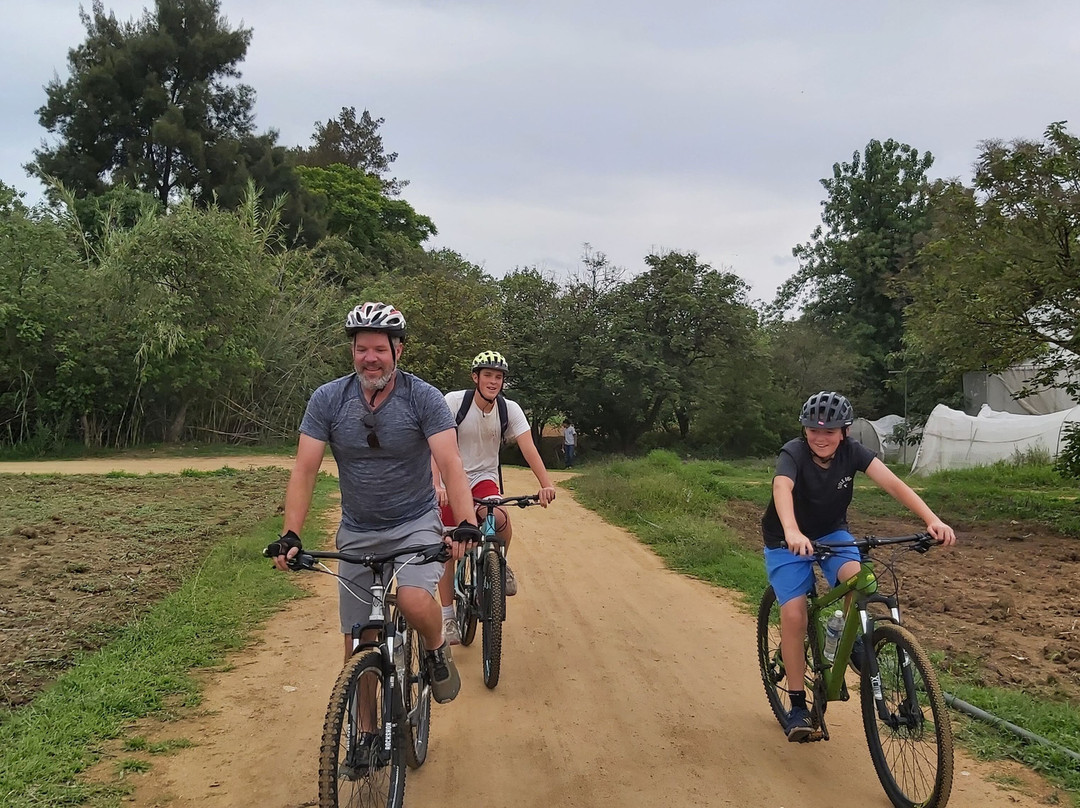 Bicicletas Pedro Martinez-瓦哈卡必去景点