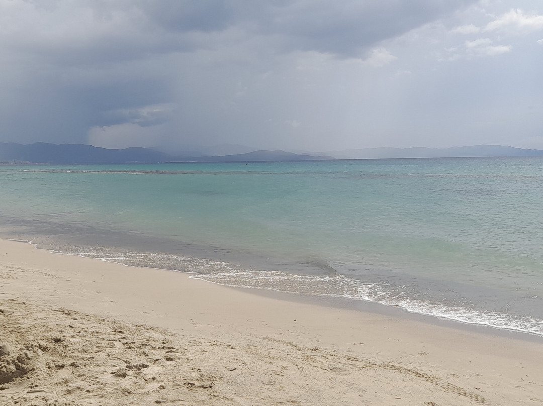 Mortelliccio Spiaggia Libera per Cani-皮翁比诺必去景点