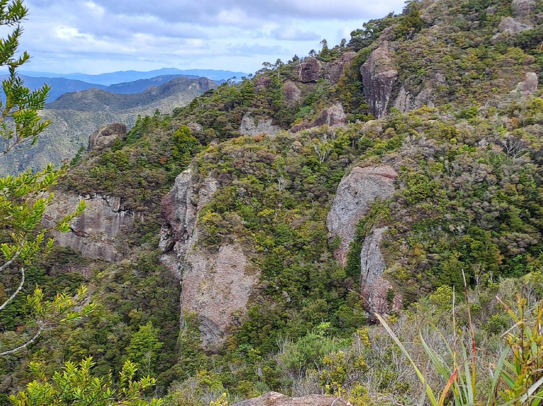 Mt Hobson via Windy Canyon-Great Barrier Island必去景点